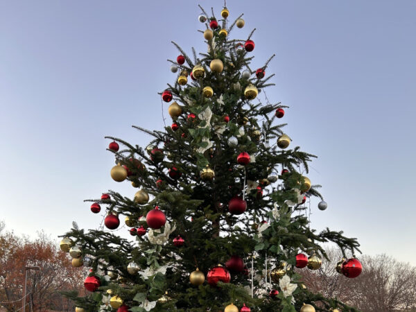 やまと花ごよみ2025 きらめきマルシェ in 馬見クリスマス