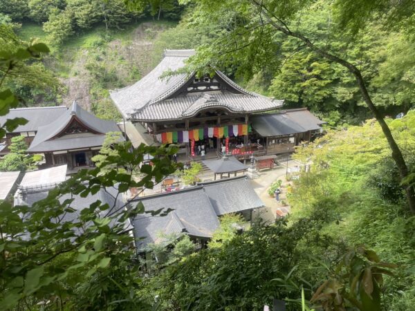 岡寺あぢさゐ回廊 